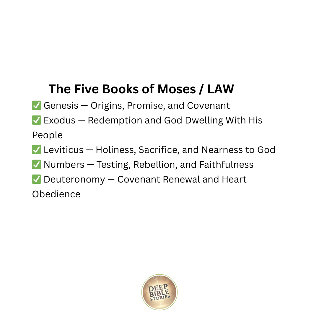 The Torah: 5-Video Study